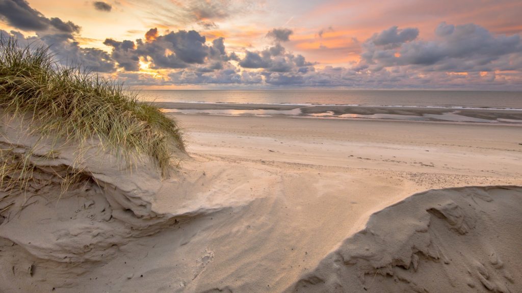 Dune View on North Sea